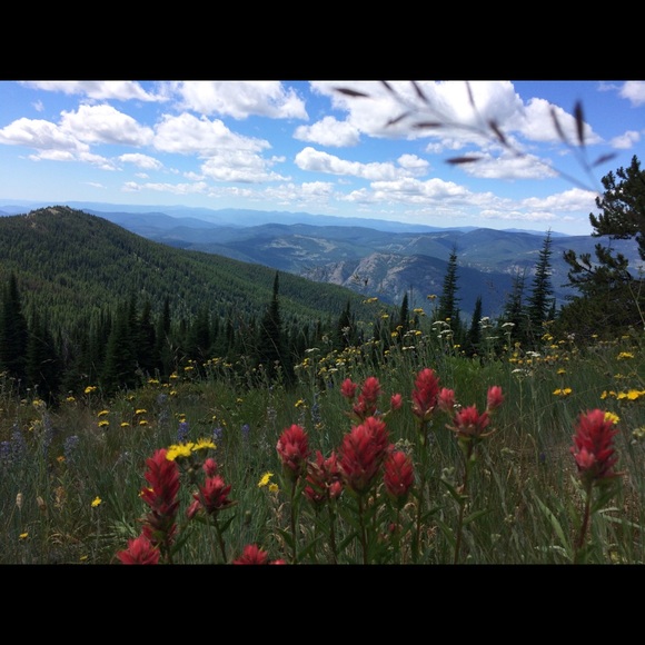 Check out my closet.  I am OPEN to OFFERS! - Picture 2 of 8